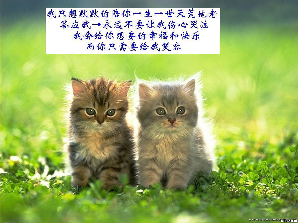 青少年有<em>白头发怎么回事</em>,怎么办?_jaso<em></em>nxiong 