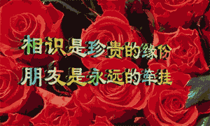 标题: 【转贴】动感图片大集锦
