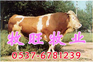  ��֢״:��������40--42��,��ǻճĤ�������ã���ˮ��,ţ��ڲ���ˮ�ݣ����á���ţ��·���У���Ը���ߡ� 

������Ԥ��Ϊ����ÿ��ע�����������1--2�μ��ɡ� 

