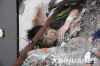  5��13�գ��ڱ�������ѧ��һλ�����ڷ����еĺ��Ӿ�������������ȴ���Ԯ���봨��������Ĵ����������س�80�������س�60�����Ͻ�����������������Ŀǰ����׼ȷͳ�ơ�
