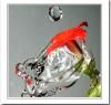Ҫ�ʵ��Լ��ĵ߷壬ʵ��Ŀ�ꡣ