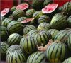  ��˵�ڰ������������������Ŷ��     