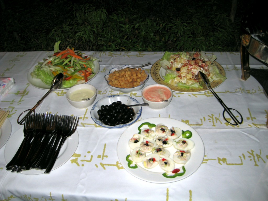 8月21日 中航地产观兰别墅冷餐会 阿里巴巴 jp