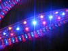LED rope light-4-wire flat   