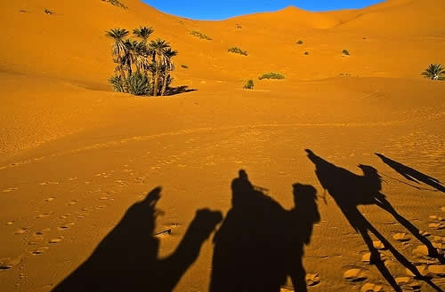 美国西北航空公司上海到东京\/名古屋航线特价