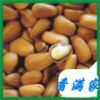 优质开口松子