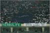   ������herbalife�ı�־�ڷ���  