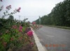 �Ͼ������޴�ͬ��̬ũׯ��ָʾ�� 
<br>
<br>  