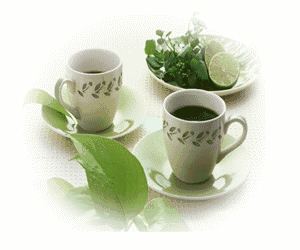 请喝一杯兰香绿茶