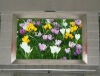 LED��ʾ���ķ羰&middot;&middot;&middot;�����Ǻ���ʢ������վ�������������������������ε��̻���Ҳ���Խ�������ϵ� ��飬����ѧ����ʵ�õ���ҵ���ɡ���˲鿴��ϸ http;/www.htkjled.