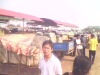 男朋友正在考察市场