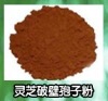 灵芝破壁孢子粉