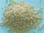  Di-Ammonium Phosphate Fertilizer