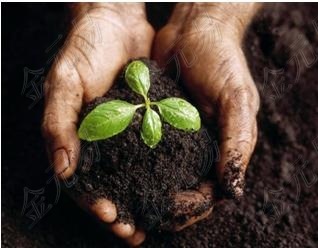 法国进口农用保水剂在肥料中的应用_bjjyyst