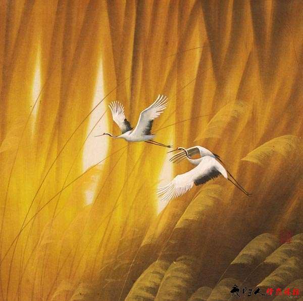 <em>寂寞沙洲冷</em> 谁见幽人独往来!_观沧海2010 - 阿