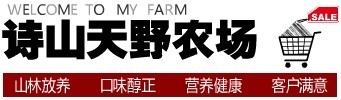 诗山网、诗山论坛