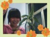 apshansahn�Ĳ���