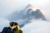 dabinghongxing�Ĳ���