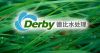 derbyscl�Ĳ���