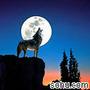 gsboren�Ĳ���