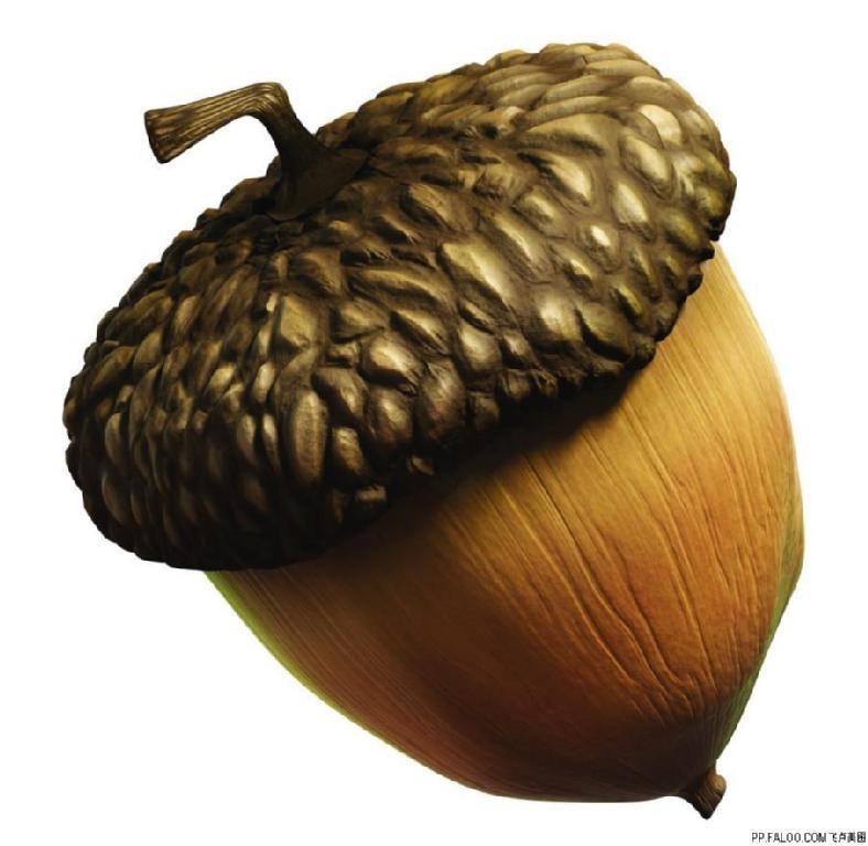 ��Աͷ��