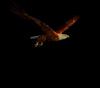 lsx0007�Ĳ���