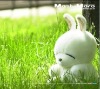 rataizhong�Ĳ���