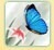 sdlgw888�Ĳ���