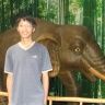 thinelephant�Ĳ���
