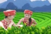 wuyichachang�Ĳ���