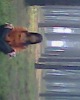 yuzipiong�Ĳ���