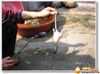 ��ը����ȫ����
���ߣ���Ұ����
�ظ���3
����:4
