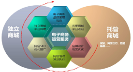 关于我国农业电子商务的问题与的开题报告范文