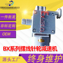 廠家直銷B/X系列擺線針輪減速機配件 減速機專用防爆油泵