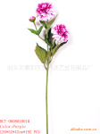 花、菊花、绣丽菊花、三头绣丽菊花、纯手工贴制而成