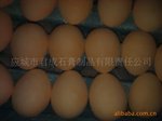 ��������ѧУ�۱ʣ��޳��۱ʣ����ͷ۱ʣ���Ƿ۱ʣ���ɫ�۱�