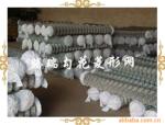 供应 出口标准勾花网 菱形网