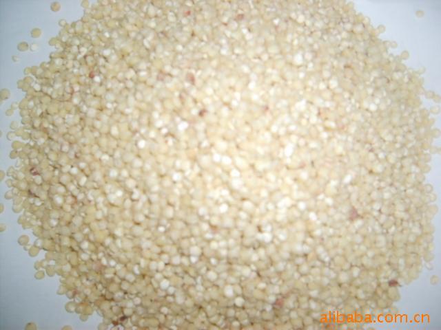 大黄米做法 营养价值高 功效 批发供应大黄米