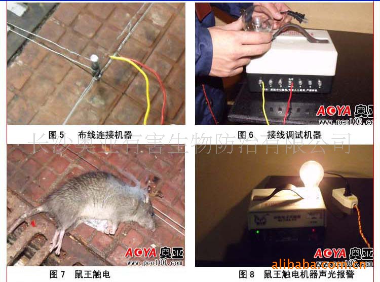 供应电子灭鼠器 超声波驱鼠器 猫头鹰捕鼠器 电子环保灭鼠器