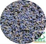供应花草茶薰衣草、花果茶茶叶加工