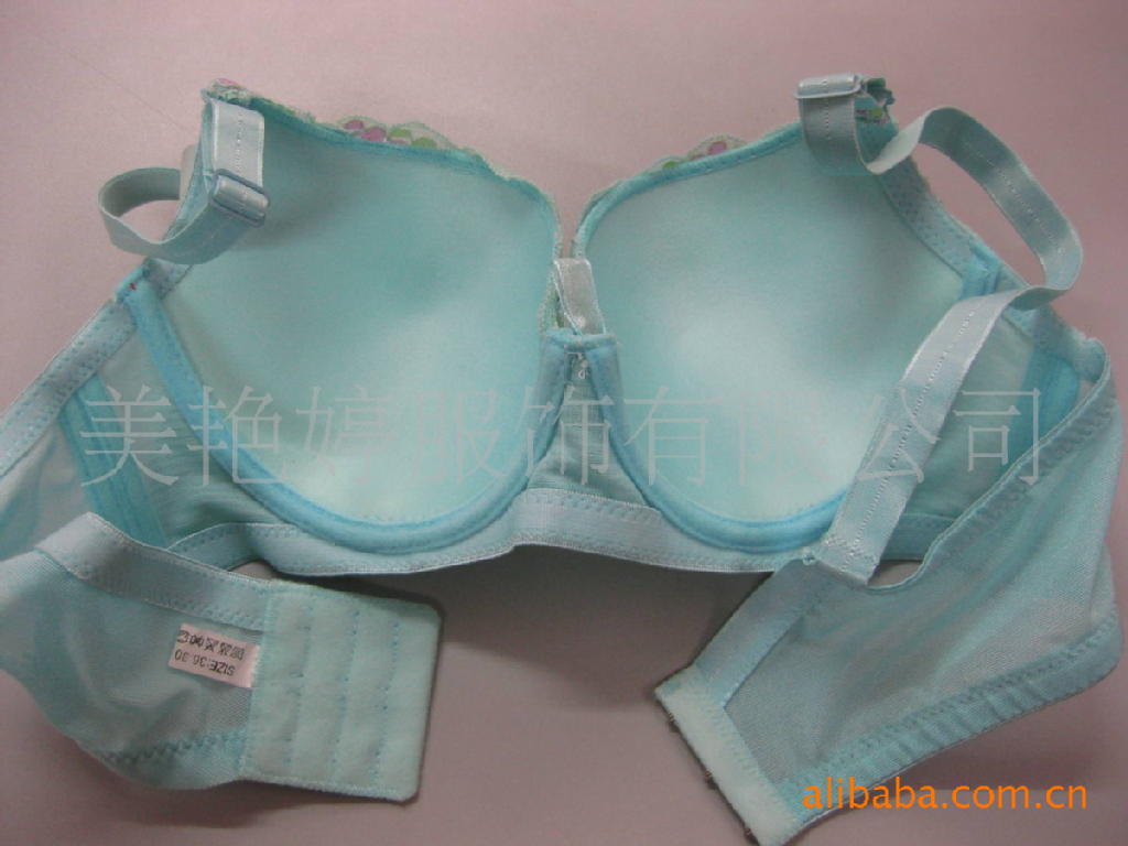供应女士绣花新款<em>三排扣文胸</em>,供应女士绣花新
