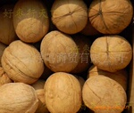华东总代理供应新疆特产 阿克苏核桃
