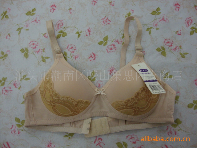 <em>广东汕头</em>汕头内衣供应最新无钢圈时尚花边<em>文胸</em>
