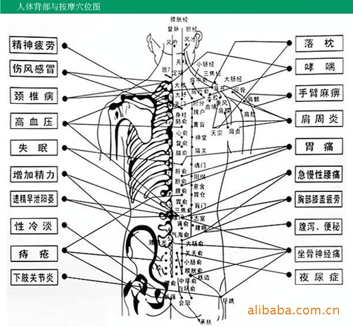 穴位