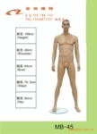 服饰展示模特儿/衣裳展示道具/金娅模特MB45