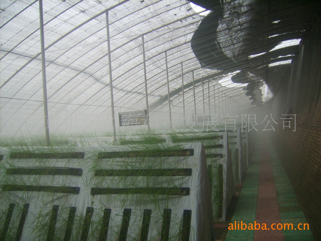 无土栽培设备 气雾培设施 现代农业生产展示-阿里巴巴