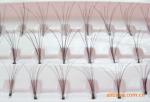 ��ֲ�ٽ�ë��Individual false eyelashes