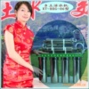 【厂家倾销】乡土活水机bxg-06型:家用直饮机/净水机/功能水机