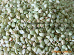 供应内蒙古赤峰2011年产荞麦