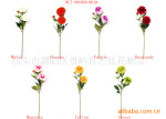 花、菊花、绣丽菊花、全手工贴制、三头绣丽菊花